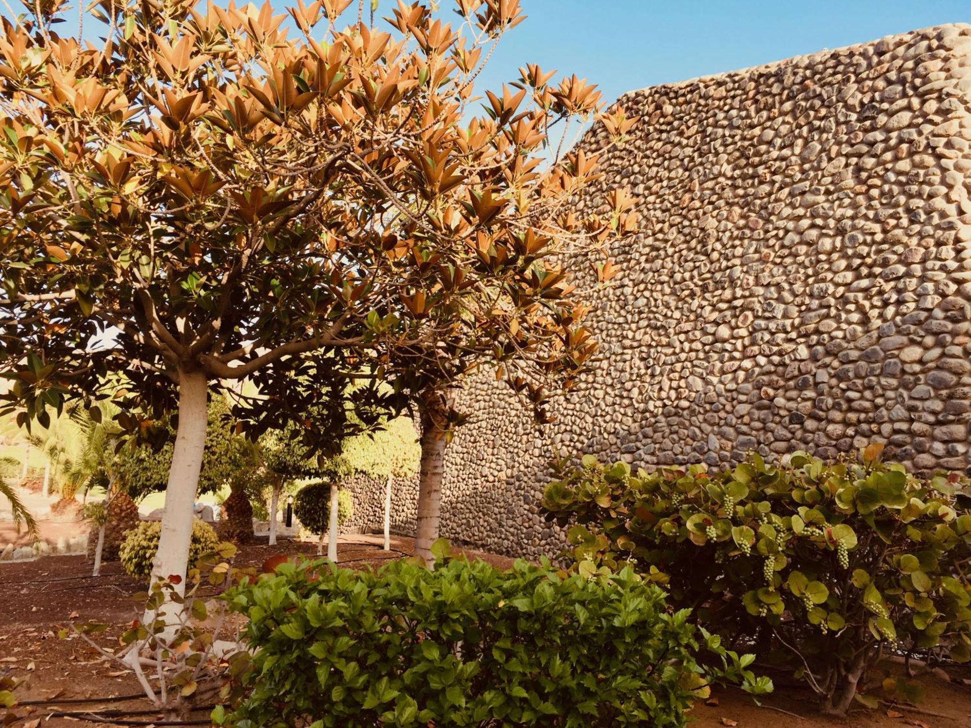M&F Golf Views. Walk To Beach La Playa de Tauro Εξωτερικό φωτογραφία